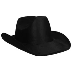 Cowboyhoed zwart