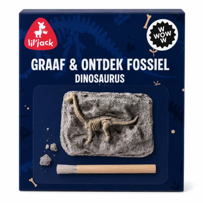 Dinosaur Excavation Fossil