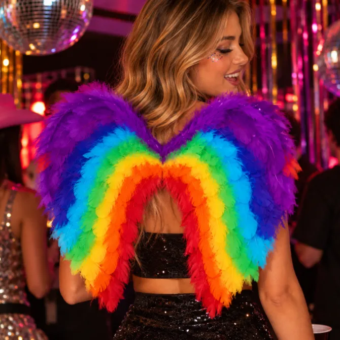 Engelenvleugels veren regenboog