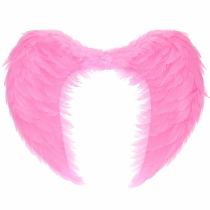 Engelenvleugels veren roze