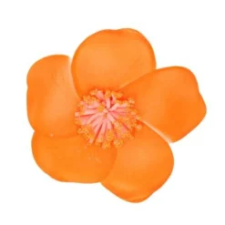 Haarclip bloem oranje