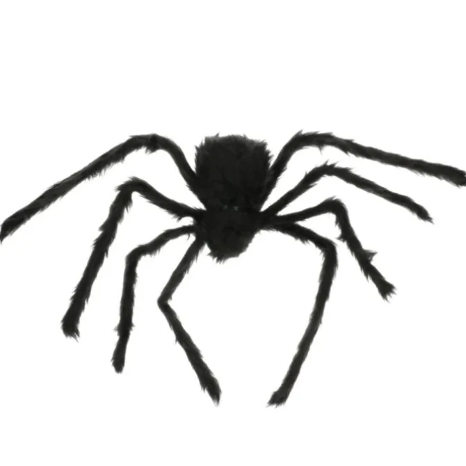 Harige spin Halloween zwart