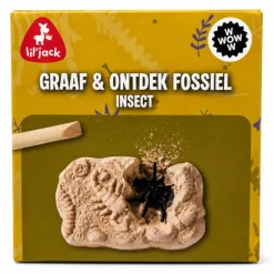 Insect Excavation Fossil