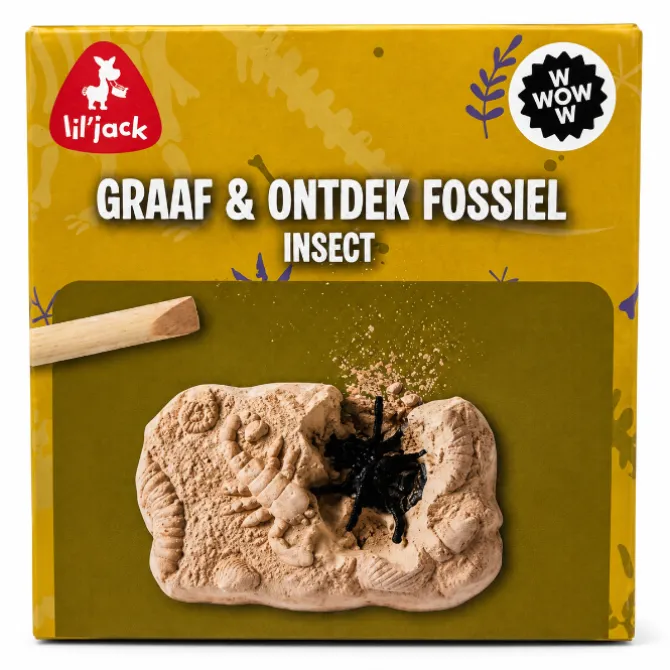 Insect Excavation Fossil