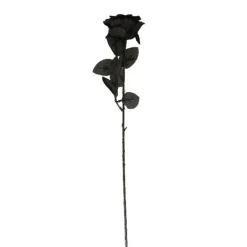 Roos Halloween zwart