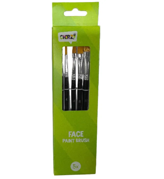 Schmink penselen set 5 stuks