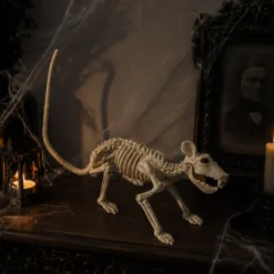 Skelet Halloween rat