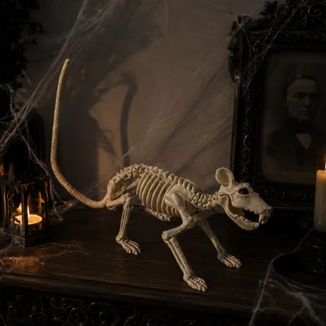 Skelet Halloween rat