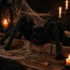 Spin Halloween zwart 50cm