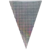 Vlaggenlijn holografisch zilver - 2,6m