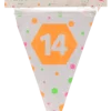Vlaggenlijn neon 14 jaar - 4m (15 vlaggen)
