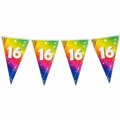Vlaggenlijn regenboog 16 jaar - 6m (15 vlaggen)