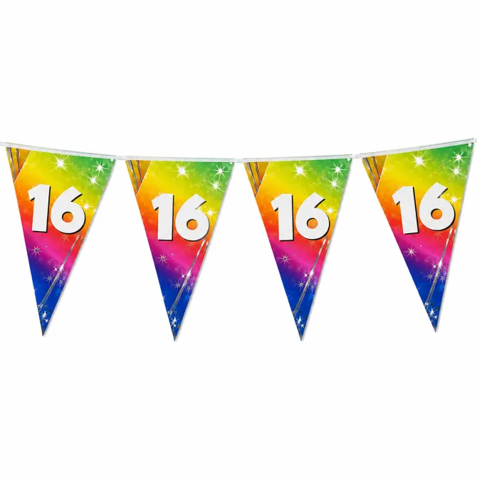 Vlaggenlijn regenboog 16 jaar - 6m (15 vlaggen)