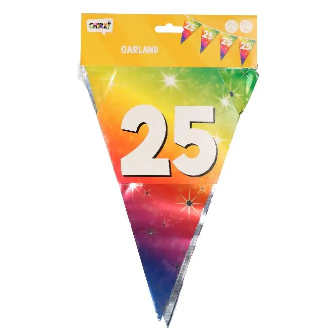 Vlaggenlijn regenboog 25 jaar - 6m (15 vlaggen)