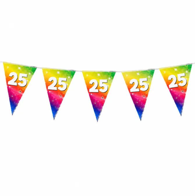 Vlaggenlijn regenboog 25 jaar - 6m (15 vlaggen)