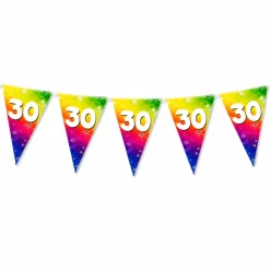 Vlaggenlijn regenboog 30 jaar - 6m (15 vlaggen)