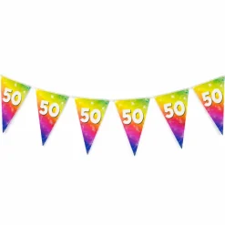 Vlaggenlijn regenboog 50 jaar - 6m (15 vlaggen)