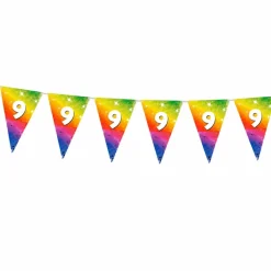 Vlaggenlijn regenboog 9 jaar - 6m (15 vlaggen)