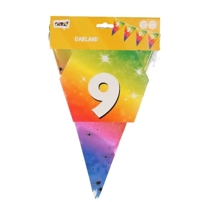 Vlaggenlijn regenboog 9 jaar - 6m (15 vlaggen)