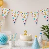 Vlaggenlijn Sterren 2 jaar - 6m (15 vlaggen)
